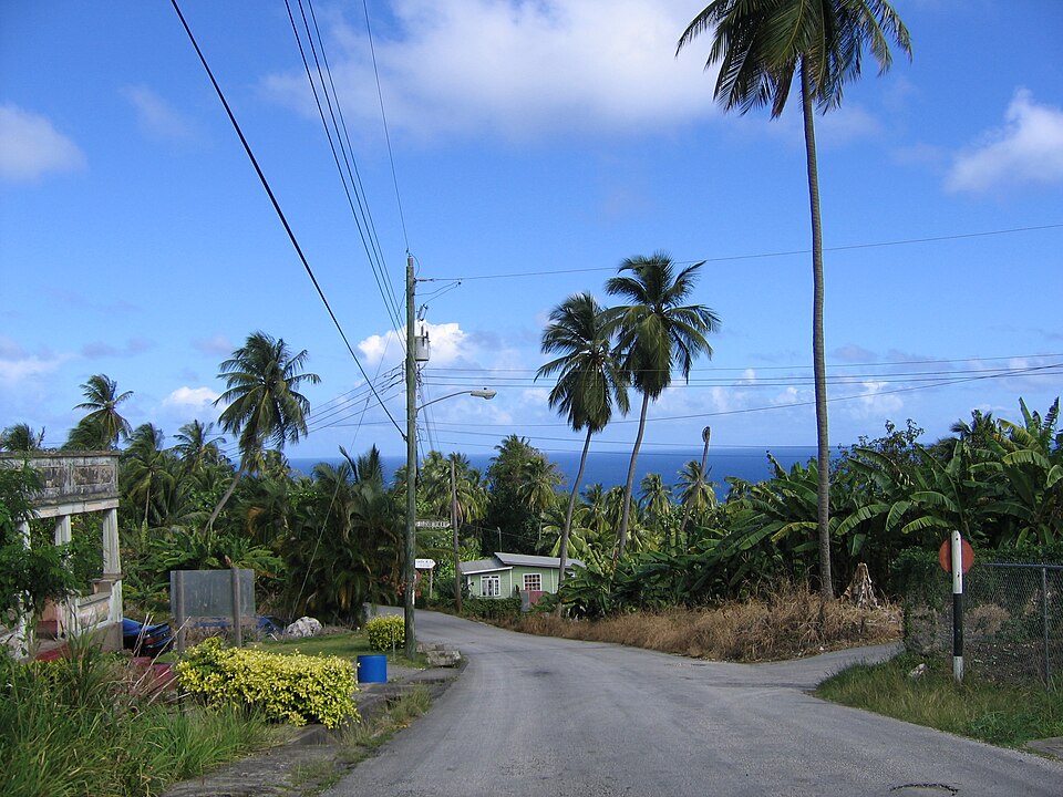Barbados — local market for manufacturer and distributor portals