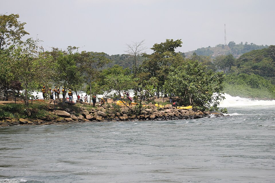 Jinja — local market for service booking platforms