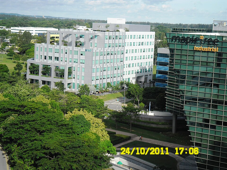Tampines — B2B and wholesale portals for local businesses
