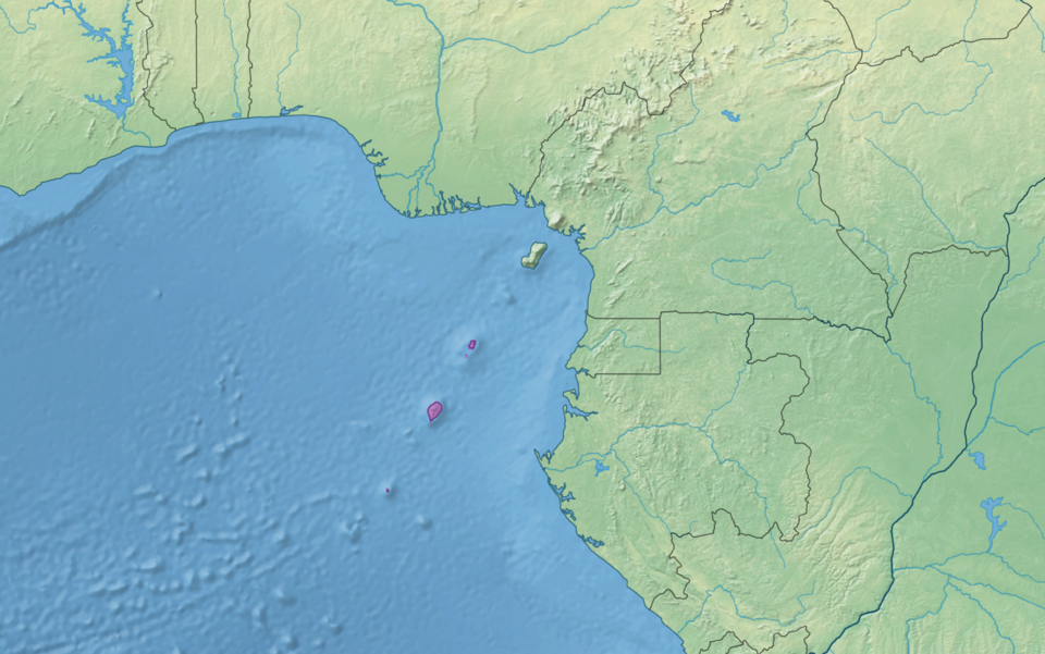 São Tomé — B2B and wholesale portals for local businesses