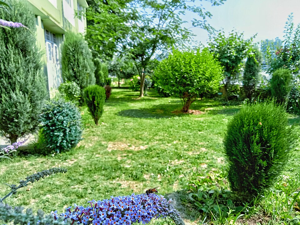Ganderbal — local market for B2B and wholesale portals