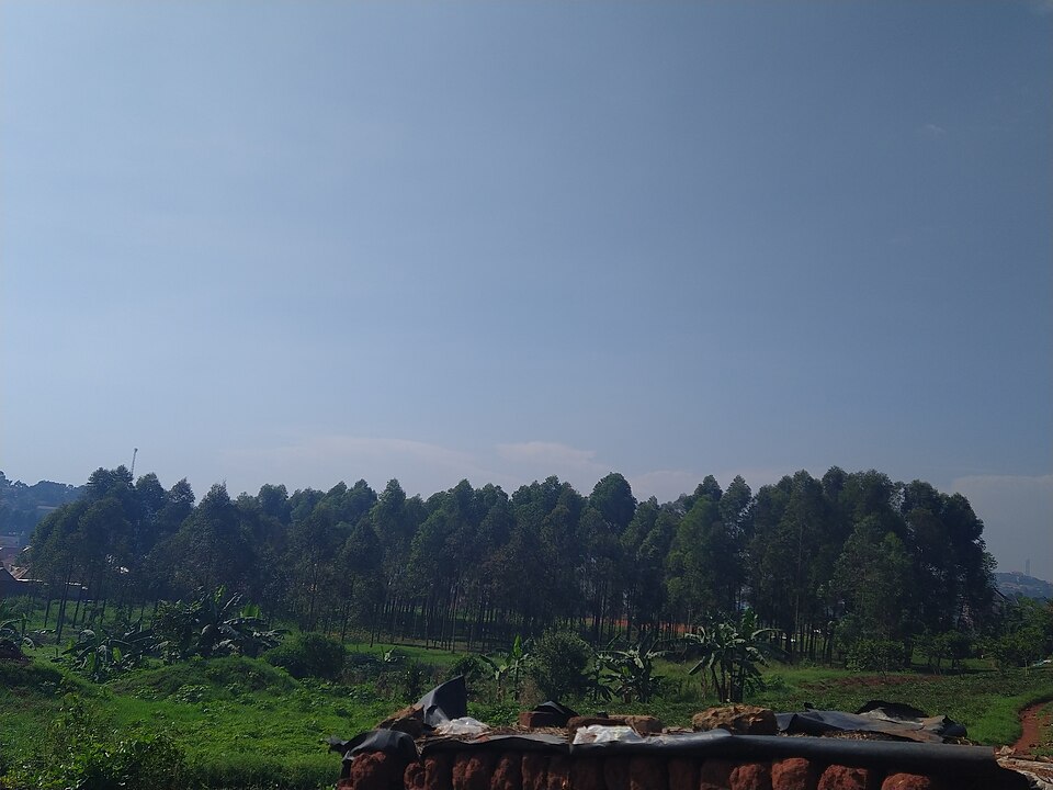 Uganda — service booking platforms for local businesses