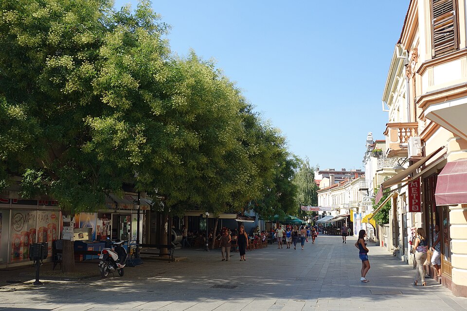 Bitola — service booking platforms for local businesses