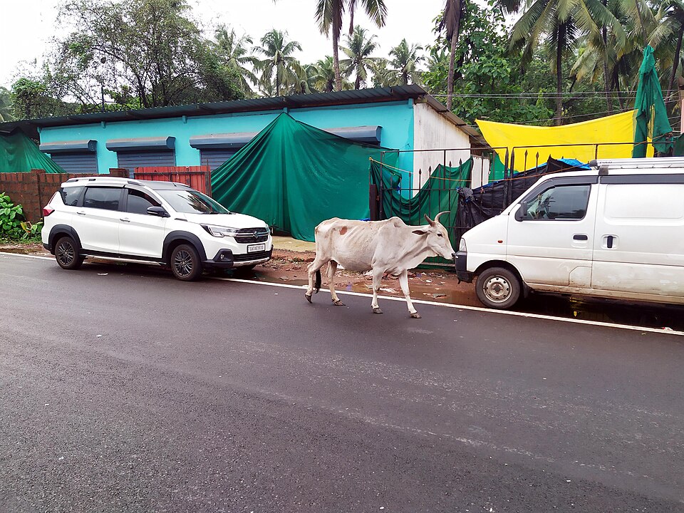 Old Goa — manufacturer and distributor portals for local businesses