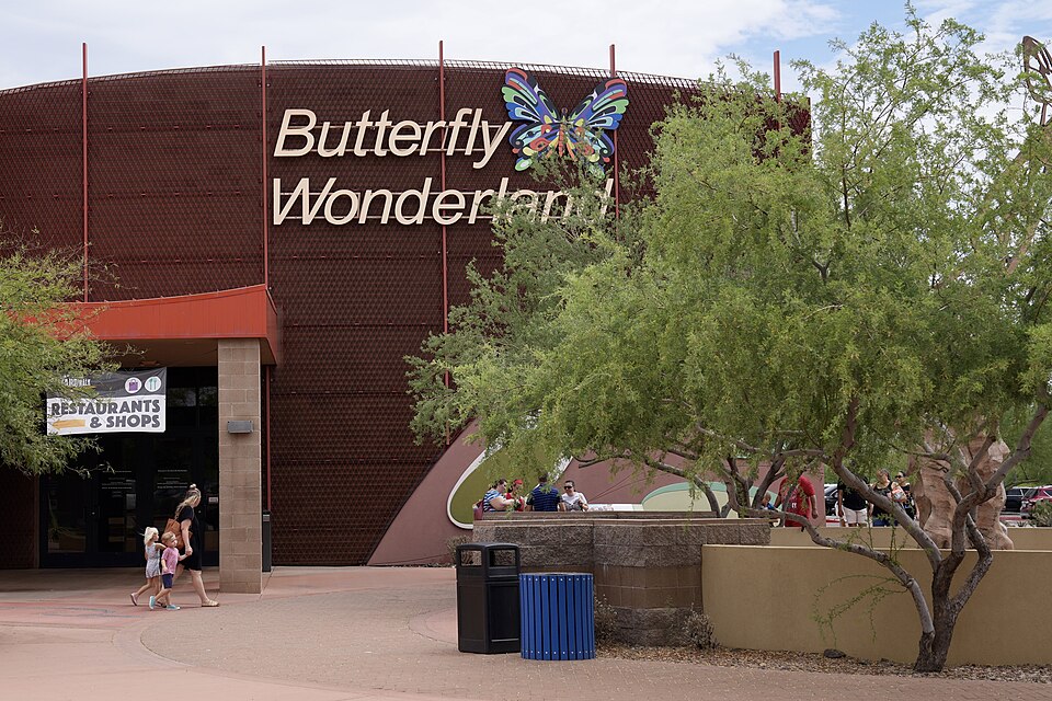Scottsdale — online stores for local businesses