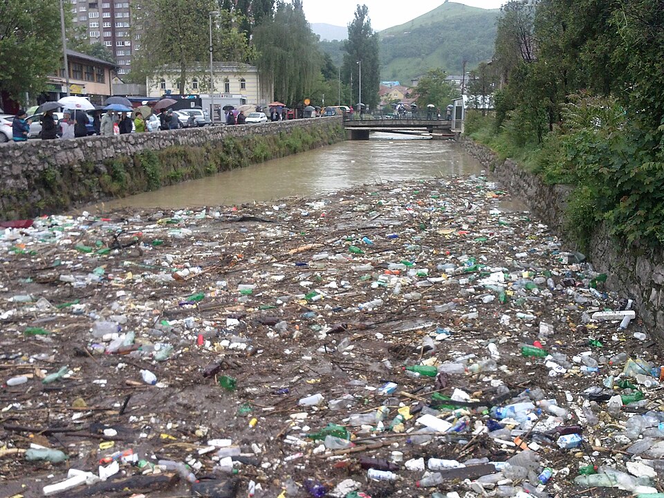Zenica — local market for multi-vendor marketplaces