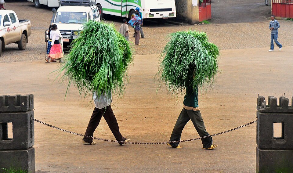 Gondar — local market for mobile commerce apps