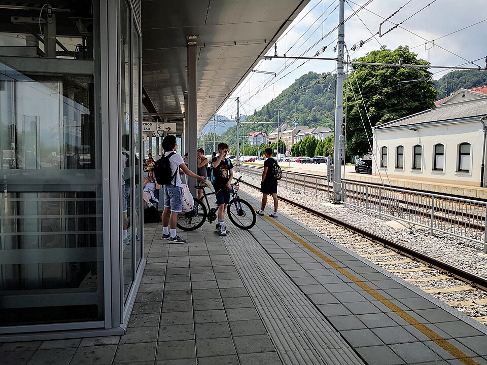 Celje — mobile commerce apps for local businesses