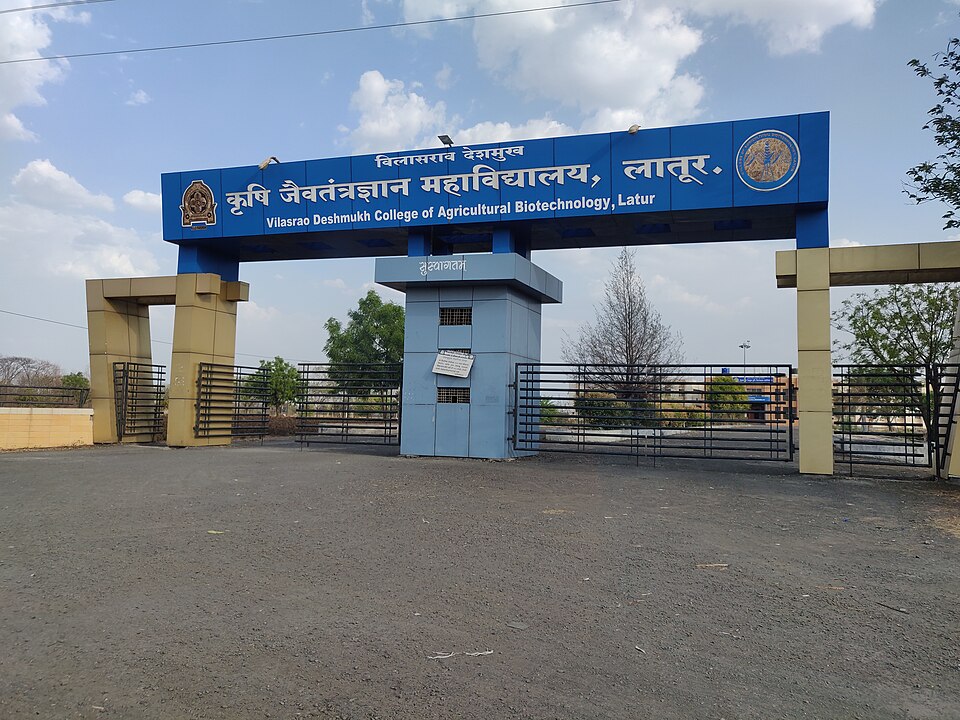 Latur — local market for service booking platforms