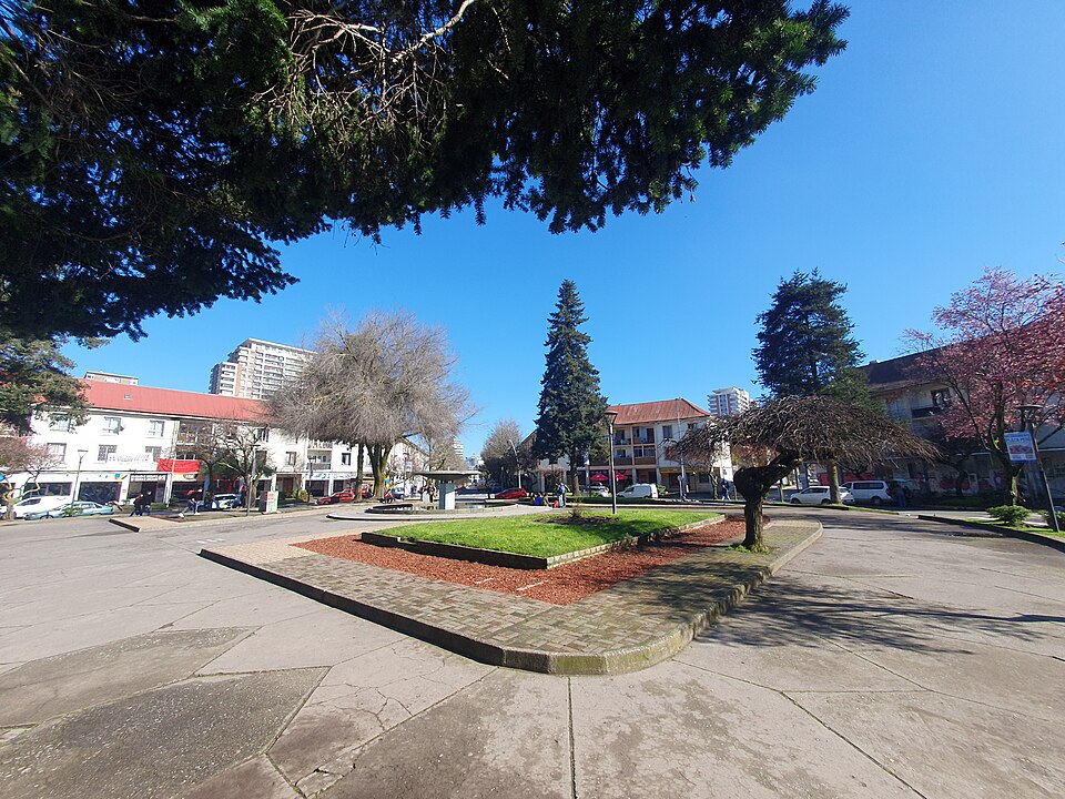 Concepción — local market for multi-vendor marketplaces