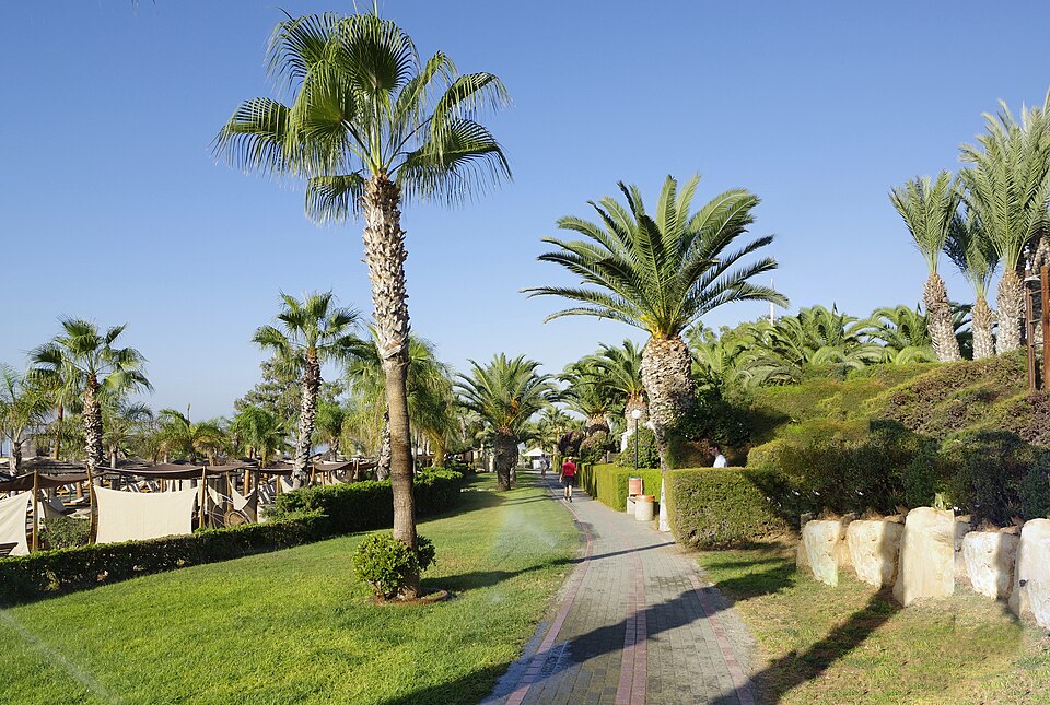Limassol — local market for manufacturer and distributor portals
