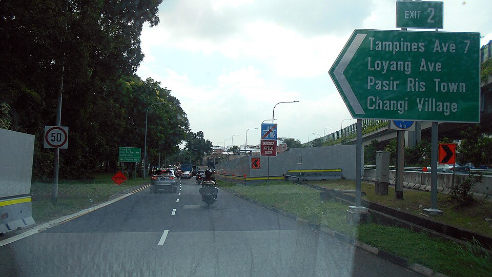 Tampines — local market for custom e-commerce platforms