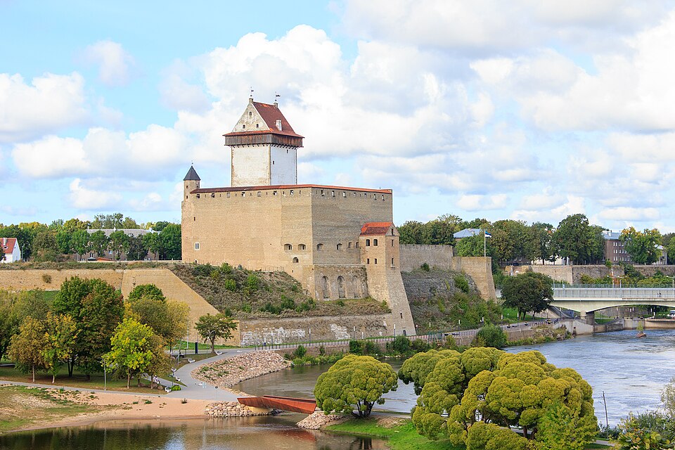 Narva — custom e-commerce platforms for local businesses