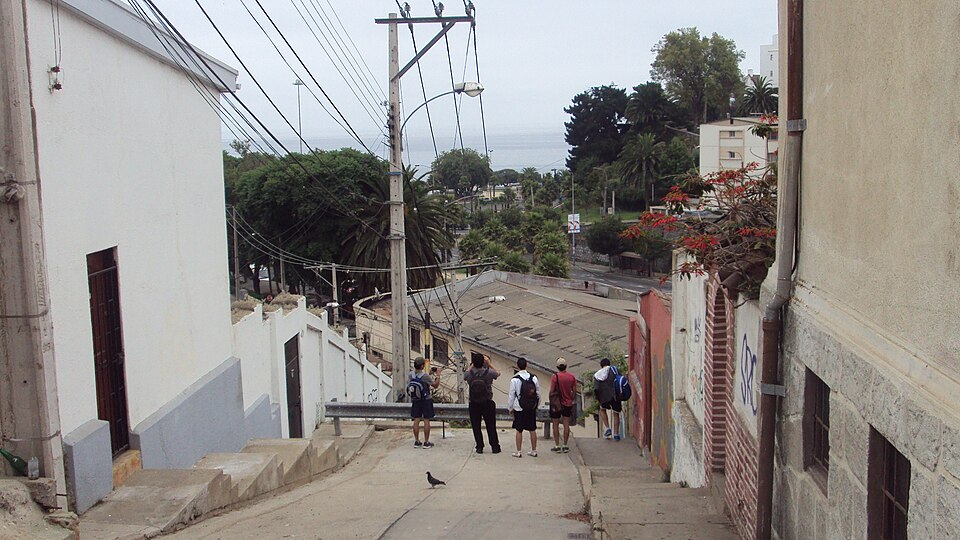 Viña del Mar — service booking platforms for local businesses