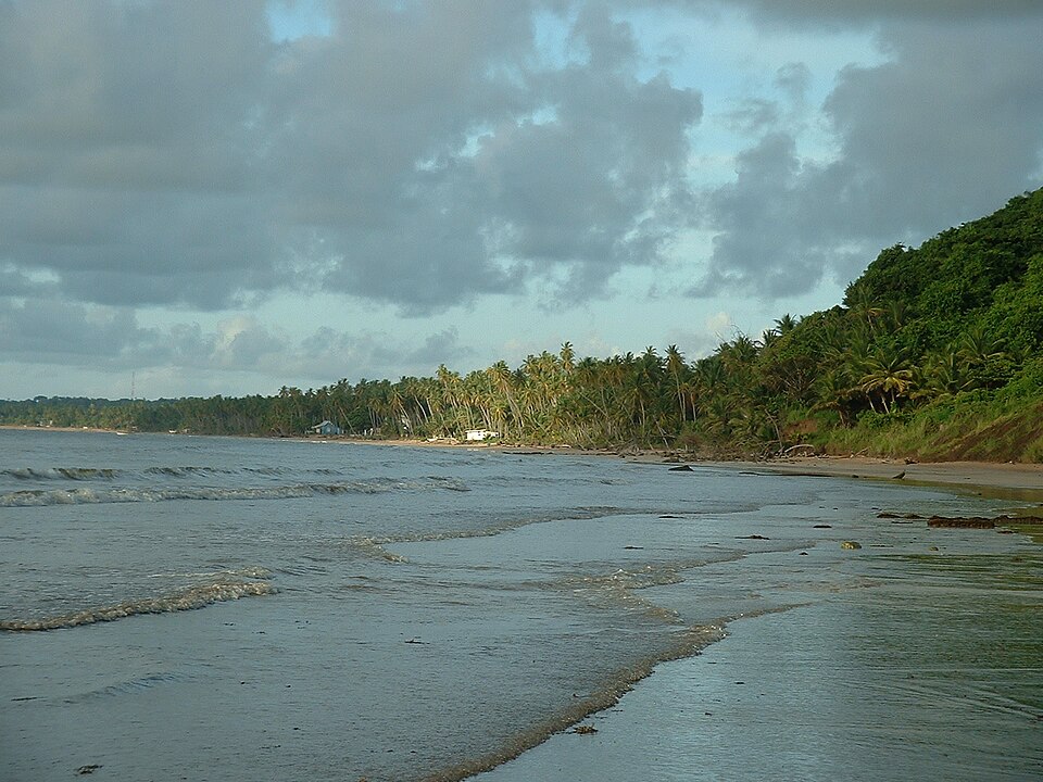 Trinidad and Tobago — local market for service booking platforms