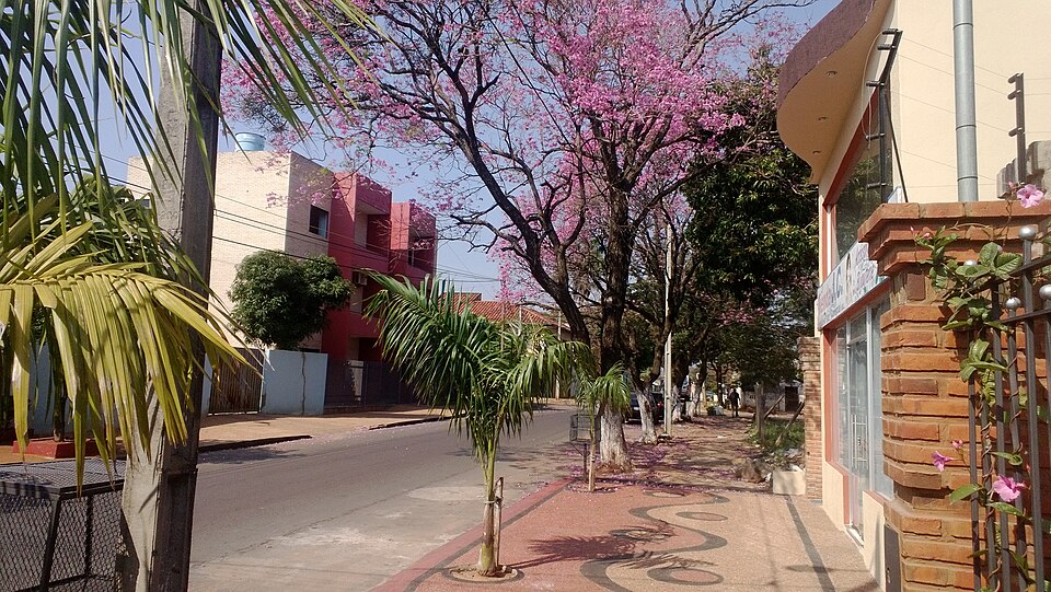 Luque — local market for manufacturer and distributor portals