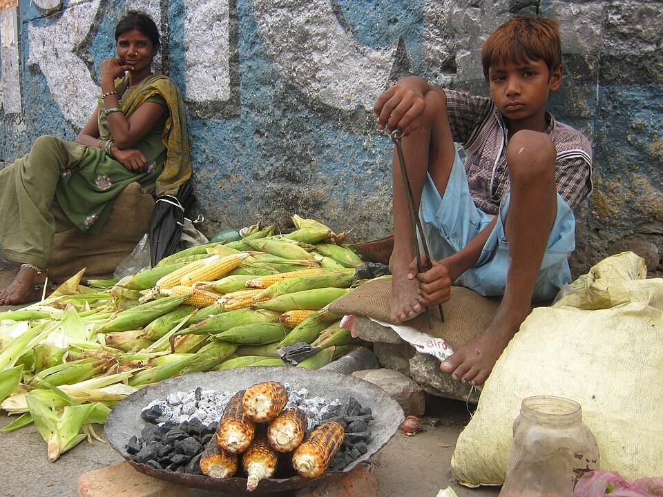 Birgunj — multi-vendor marketplaces for local businesses