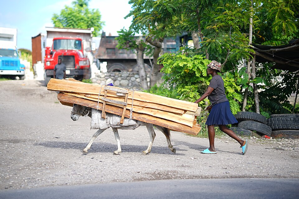 Les Cayes — subscription and membership platforms for local businesses