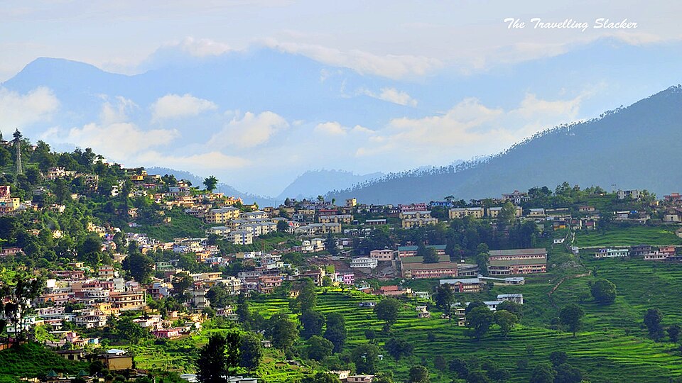 Almora — local market for online stores
