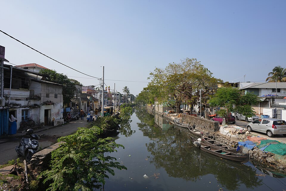 Kochi — B2B and wholesale portals for local businesses