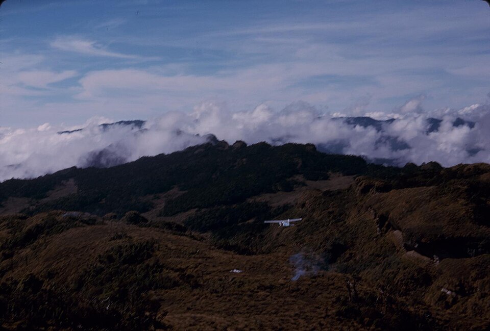 Papua New Guinea — online stores for local businesses