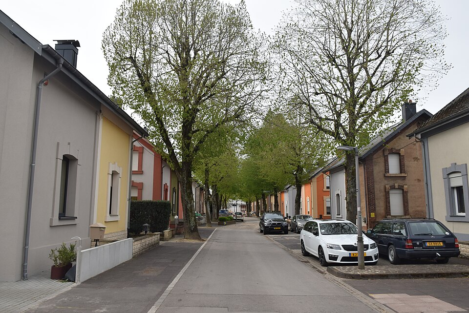 Esch-sur-Alzette — international and multi-region stores for local businesses