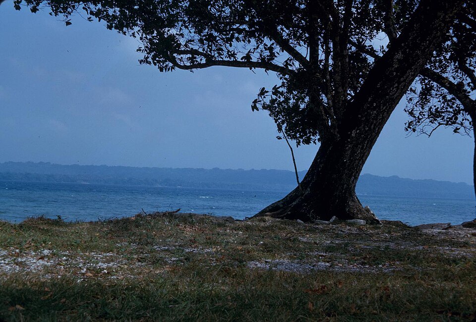 Port Vila — custom e-commerce platforms for local businesses