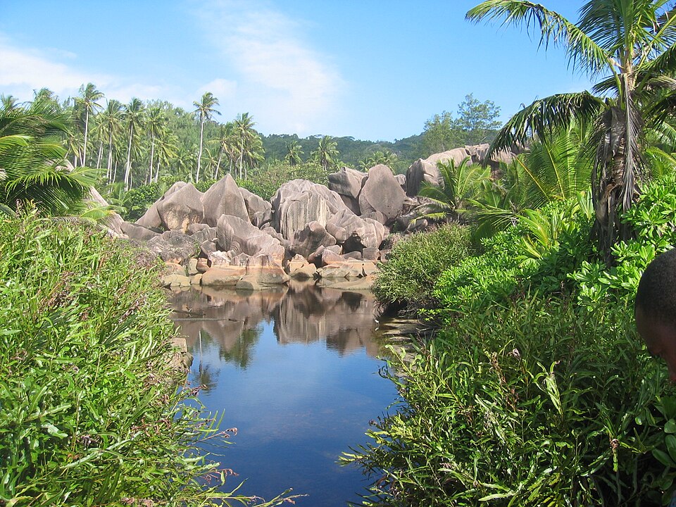 Seychelles — local market for manufacturer and distributor portals