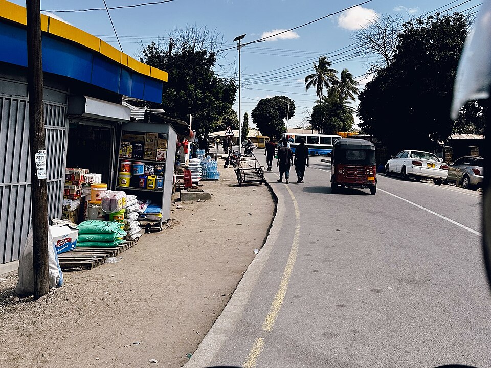 Dodoma — custom e-commerce platforms for local businesses