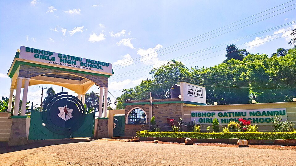 Nyeri — local market for custom e-commerce platforms
