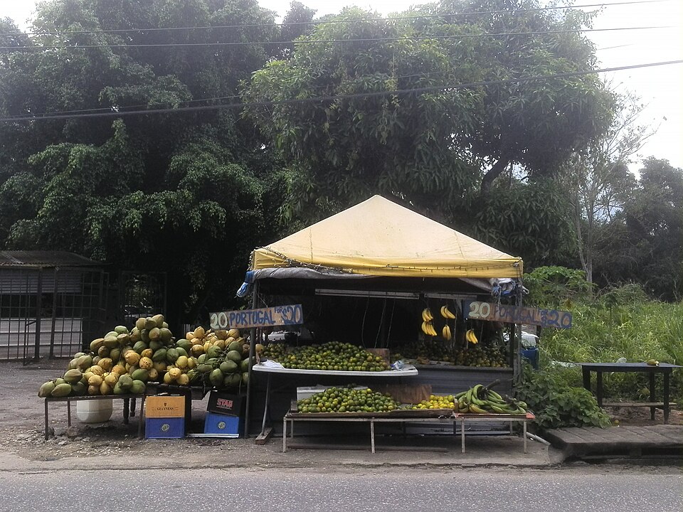 Chaguanas — international and multi-region stores for local businesses