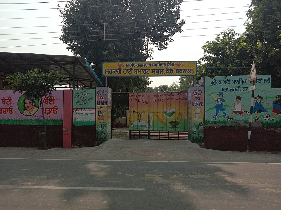 Barnala — local market for service booking platforms
