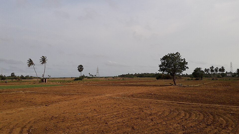 Jaffna — local market for multi-vendor marketplaces