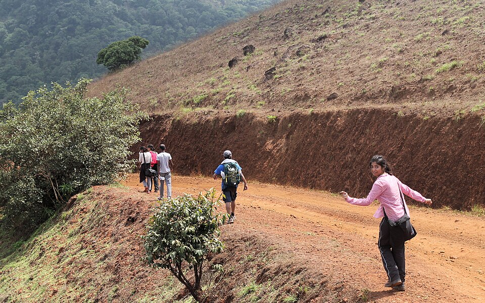 Shivamogga — international and multi-region stores for local businesses