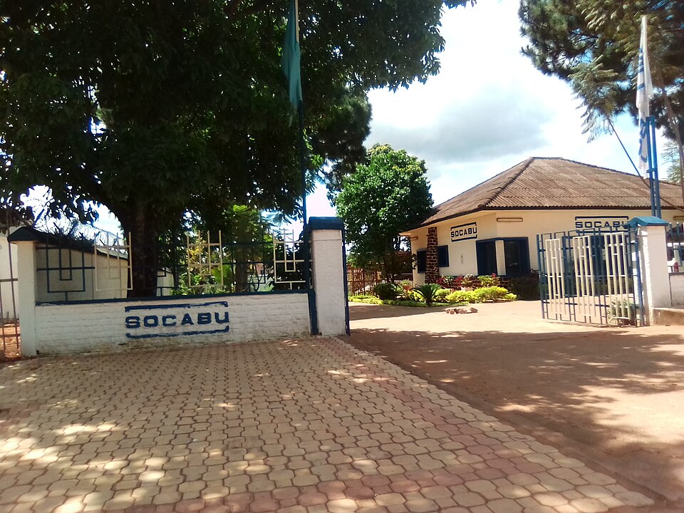 Gitega — service booking platforms for local businesses