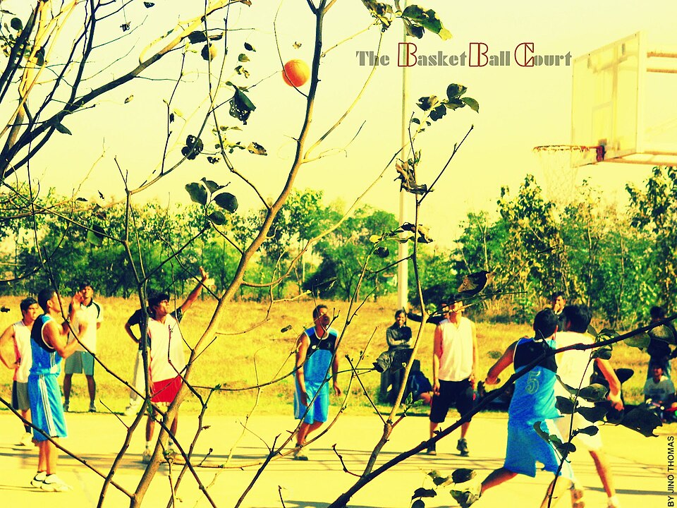 Bhilai — online stores for local businesses