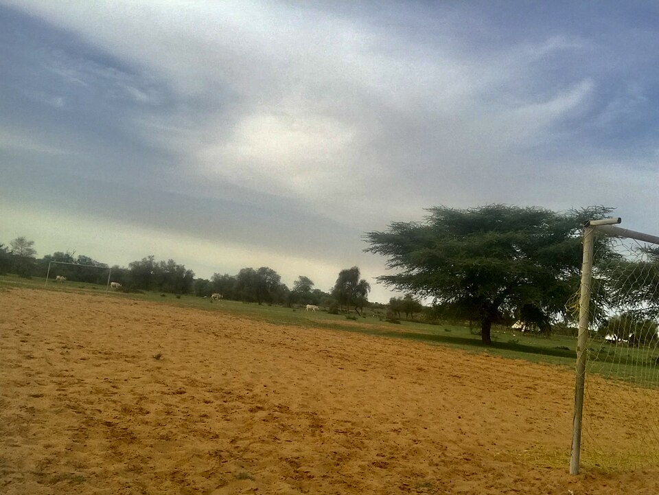 Mauritania — local market for online stores