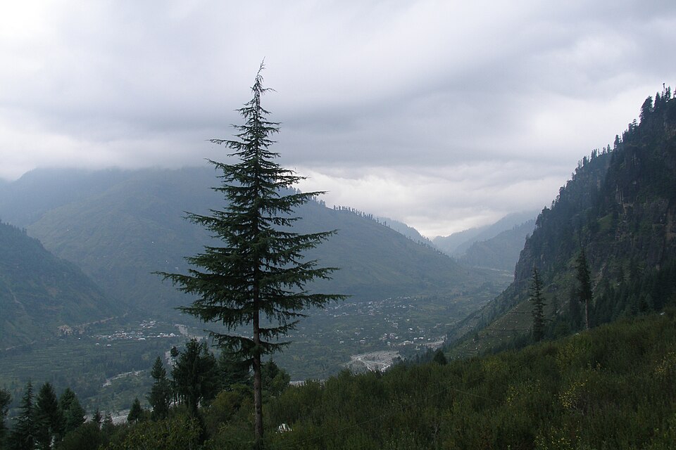 Kullu — local market for subscription and membership platforms