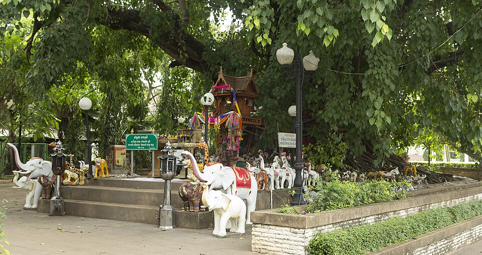 Udon Thani — B2B and wholesale portals for local businesses