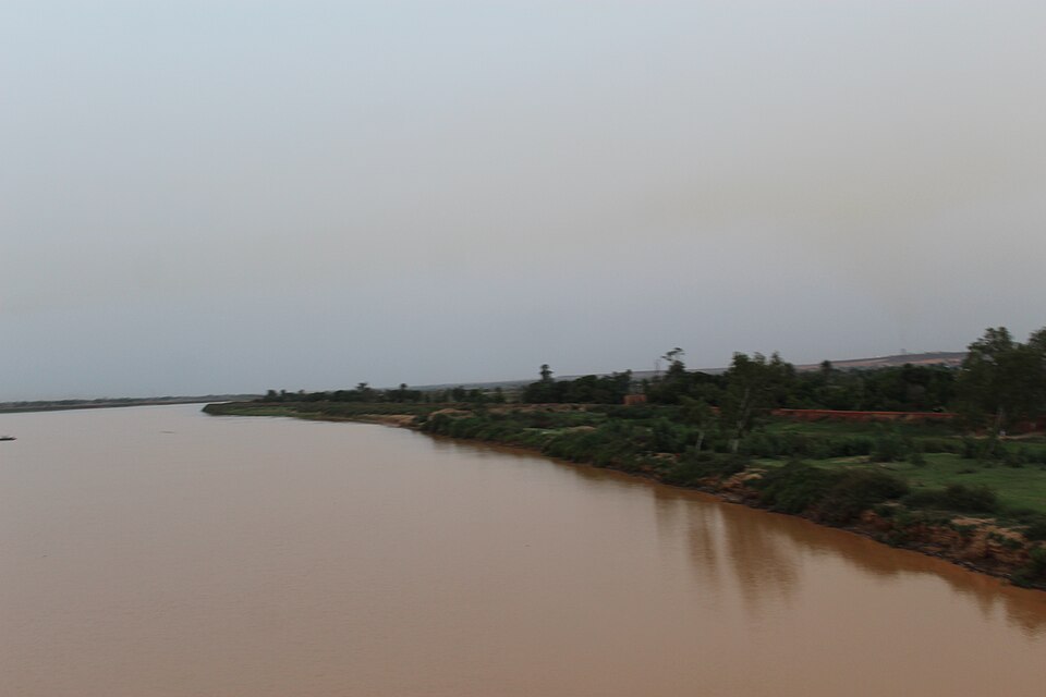 Niamey — local market for subscription and membership platforms