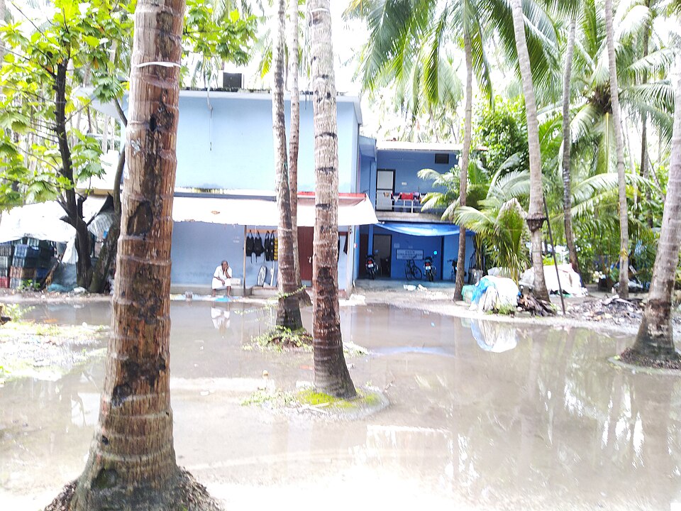 Kalpeni — international and multi-region stores for local businesses