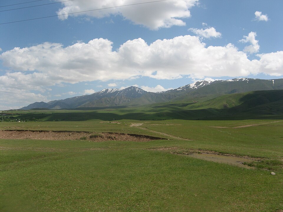 Kazakhstan — local market for service booking platforms
