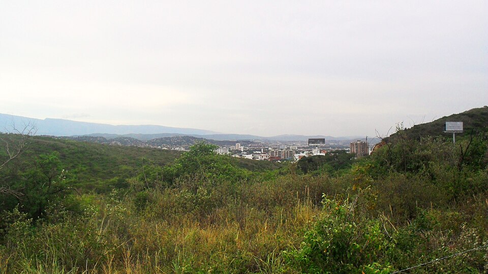 Cúcuta — service booking platforms for local businesses