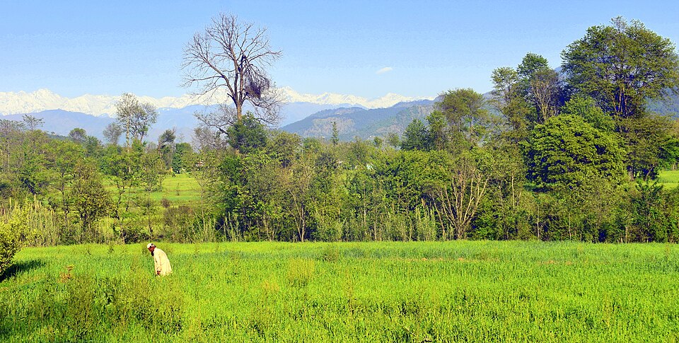 Poonch — local market for international and multi-region stores