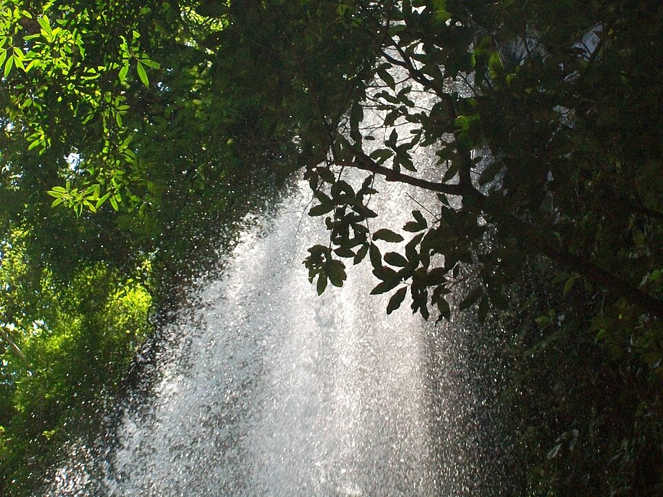 Alajuela — service booking platforms for local businesses