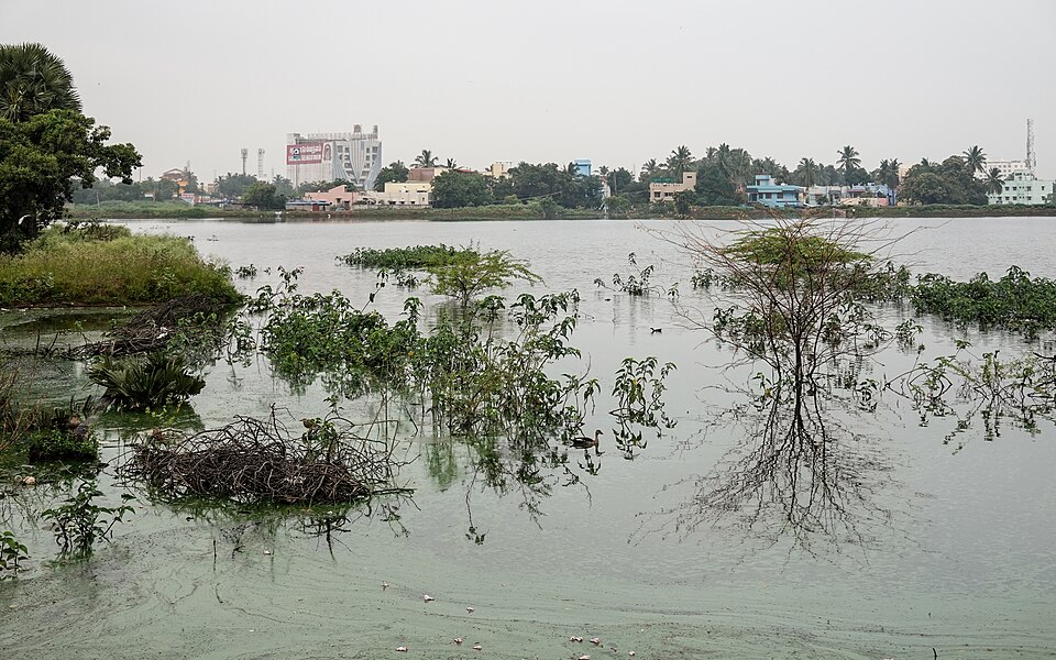 Tirunelveli — online stores for local businesses