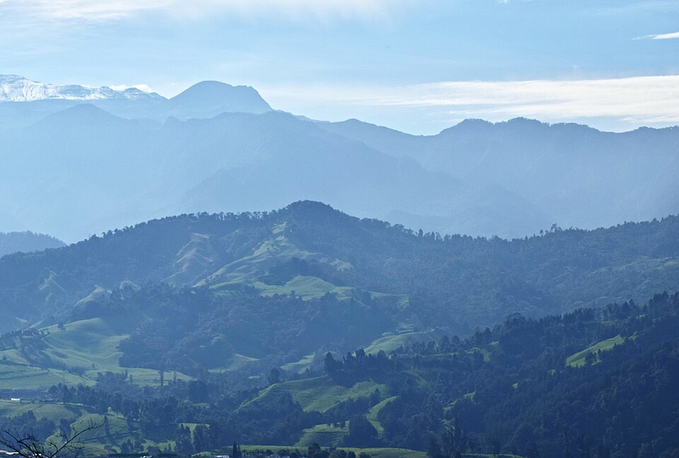 Manizales — online stores for local businesses