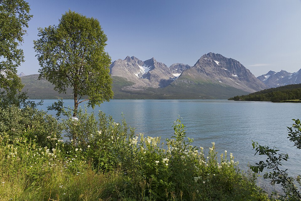 Norway — manufacturer and distributor portals for local businesses