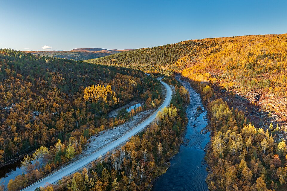 Finland — international and multi-region stores for local businesses