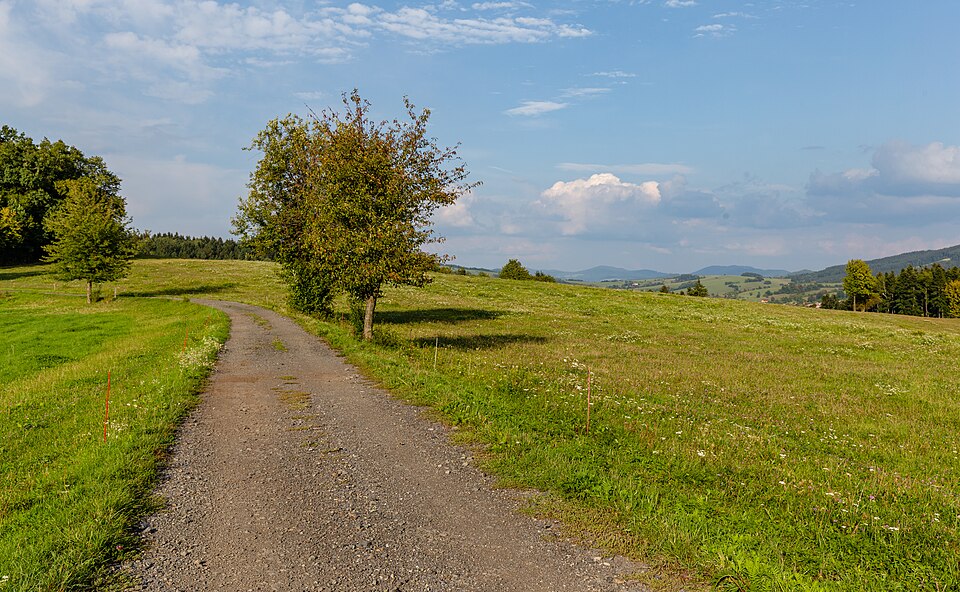 Czech Republic — local market for mobile commerce apps